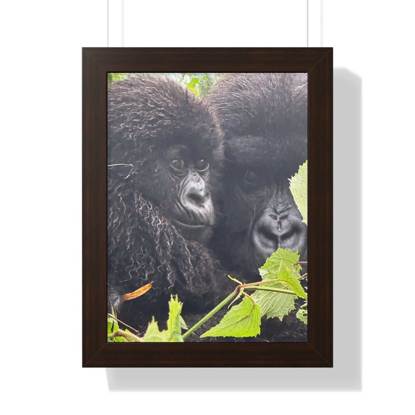 Gorilla mom and baby Framed Vertical Poster