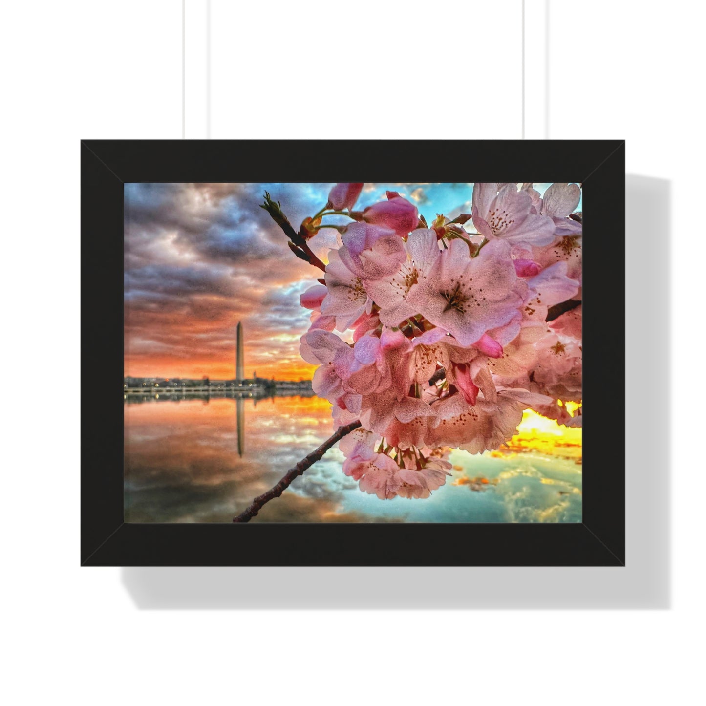 Cherry Blossom 2024 Framed Horizontal Poster