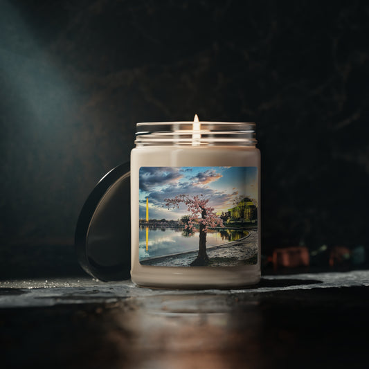 Stumpy Scented Soy Candle, 9oz