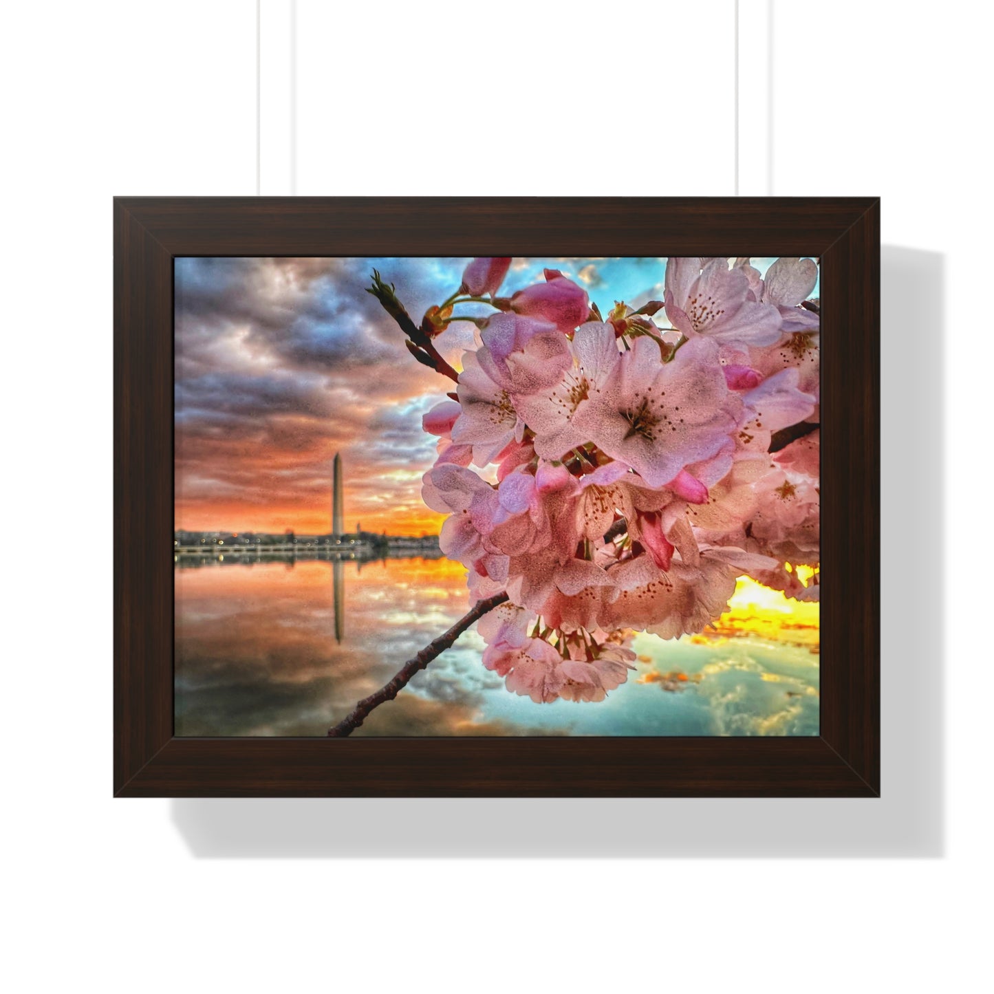 Cherry Blossom 2024 Framed Horizontal Poster