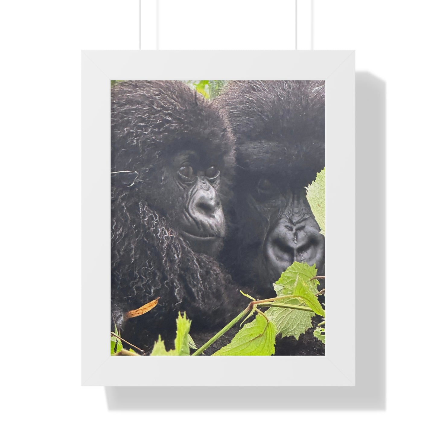 Gorilla mom and baby Framed Vertical Poster