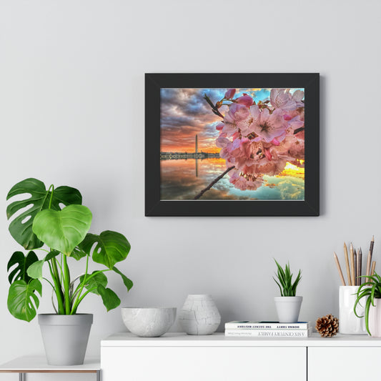 Cherry Blossom 2024 Framed Horizontal Poster