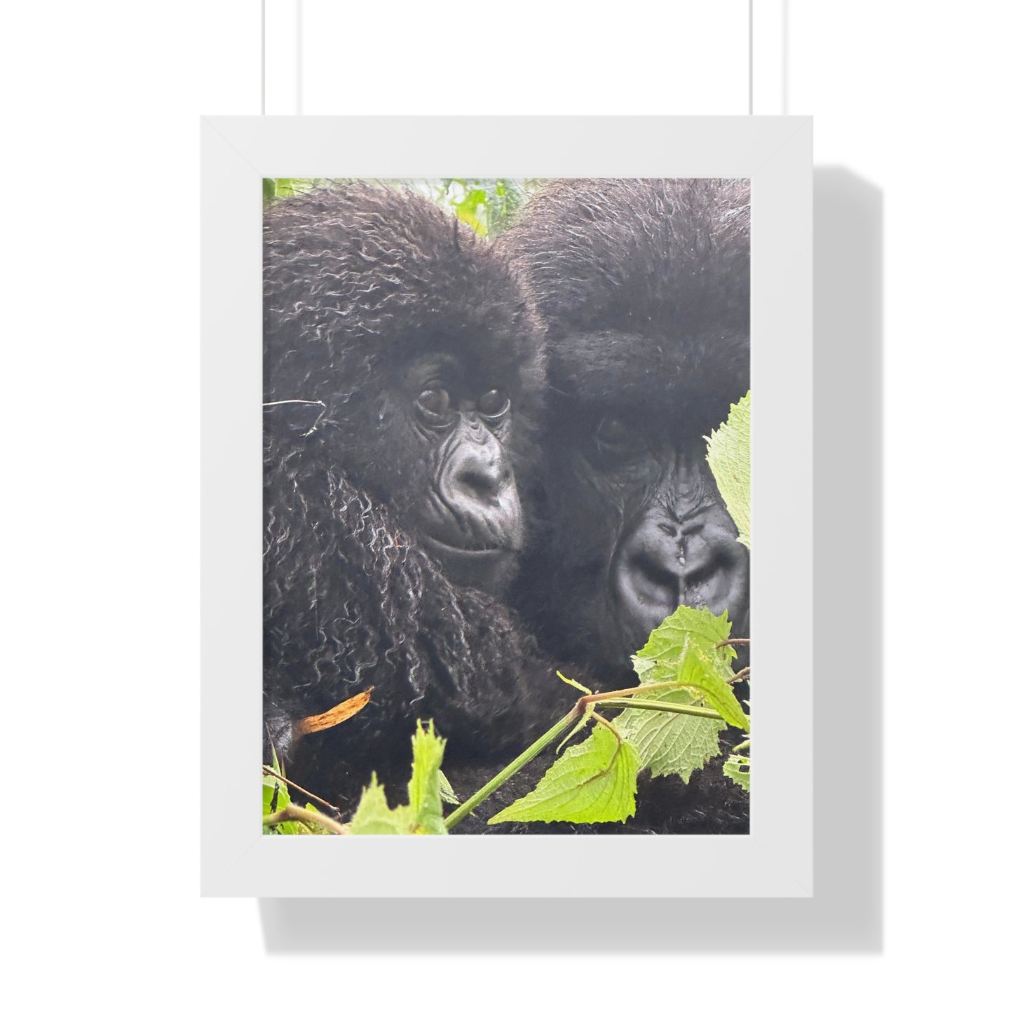 Gorilla mom and baby Framed Vertical Poster