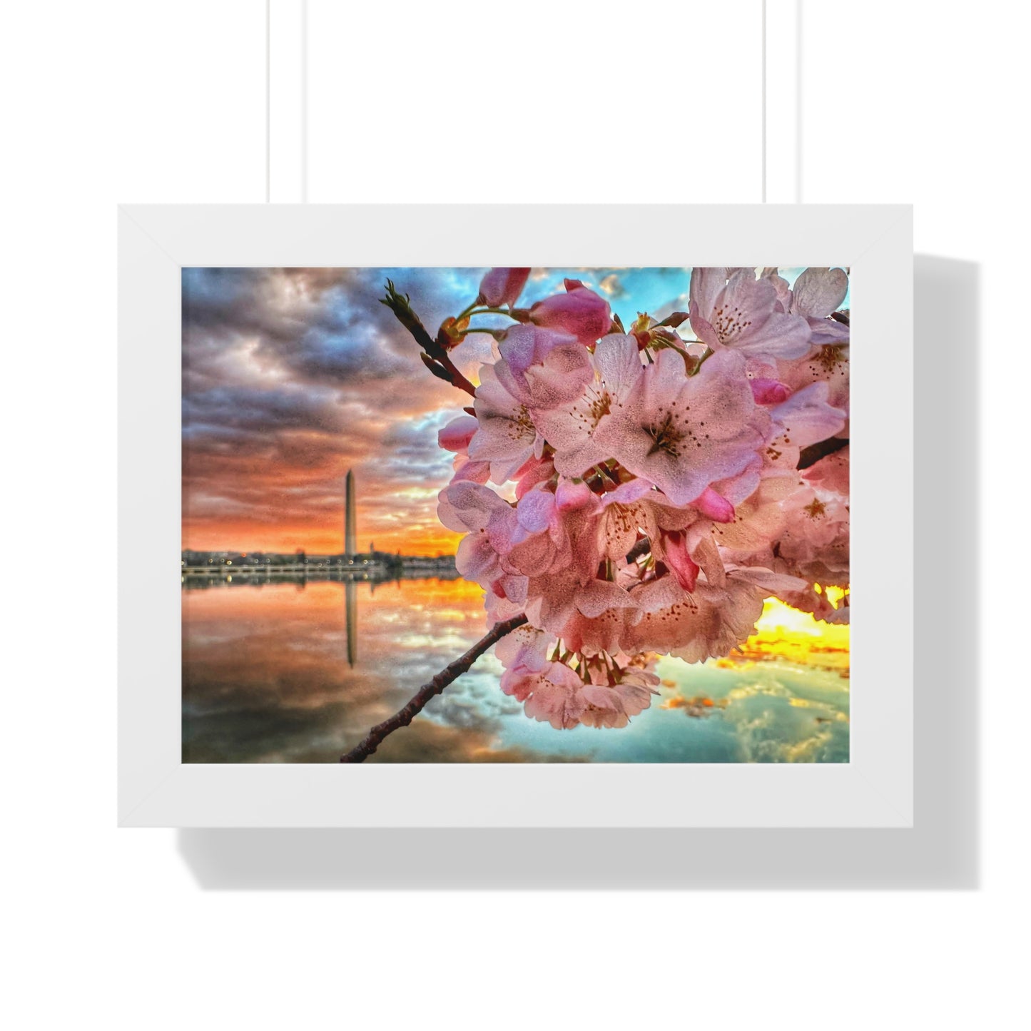 Cherry Blossom 2024 Framed Horizontal Poster