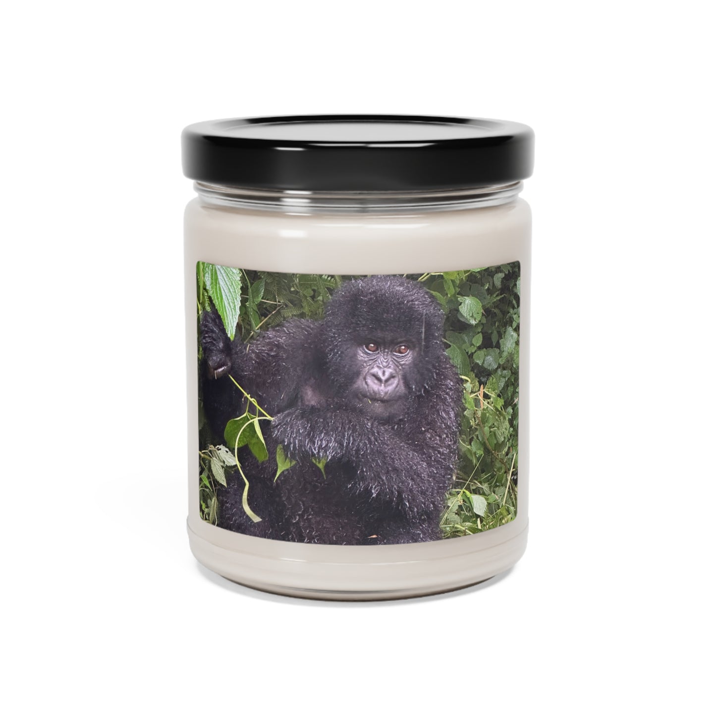 Baby gorilla Scented Soy Candle, 9oz
