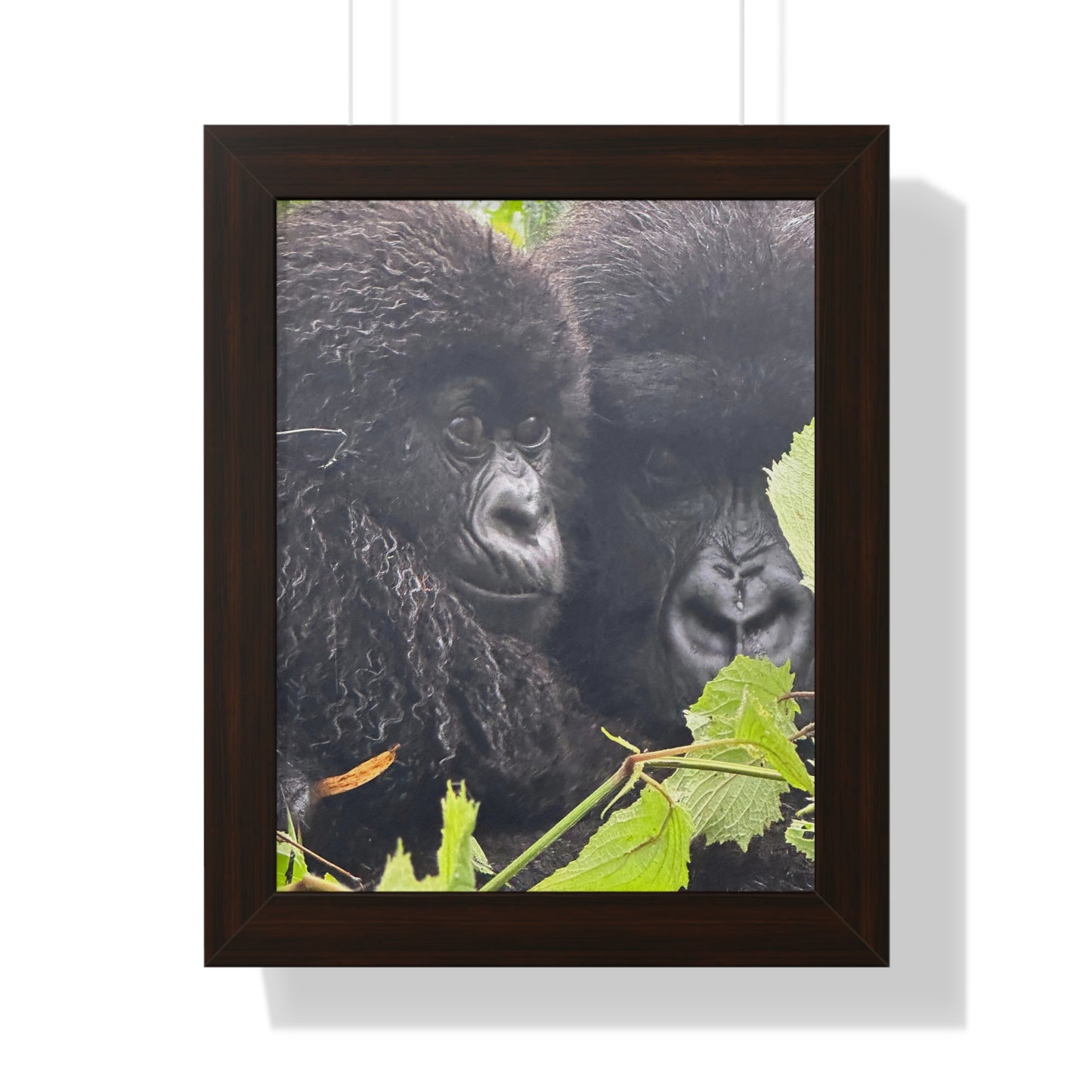 Gorilla mom and baby Framed Vertical Poster