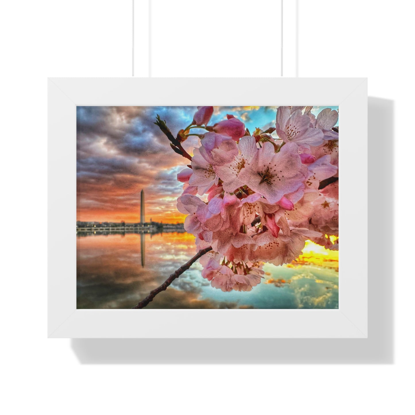 Cherry Blossom 2024 Framed Horizontal Poster