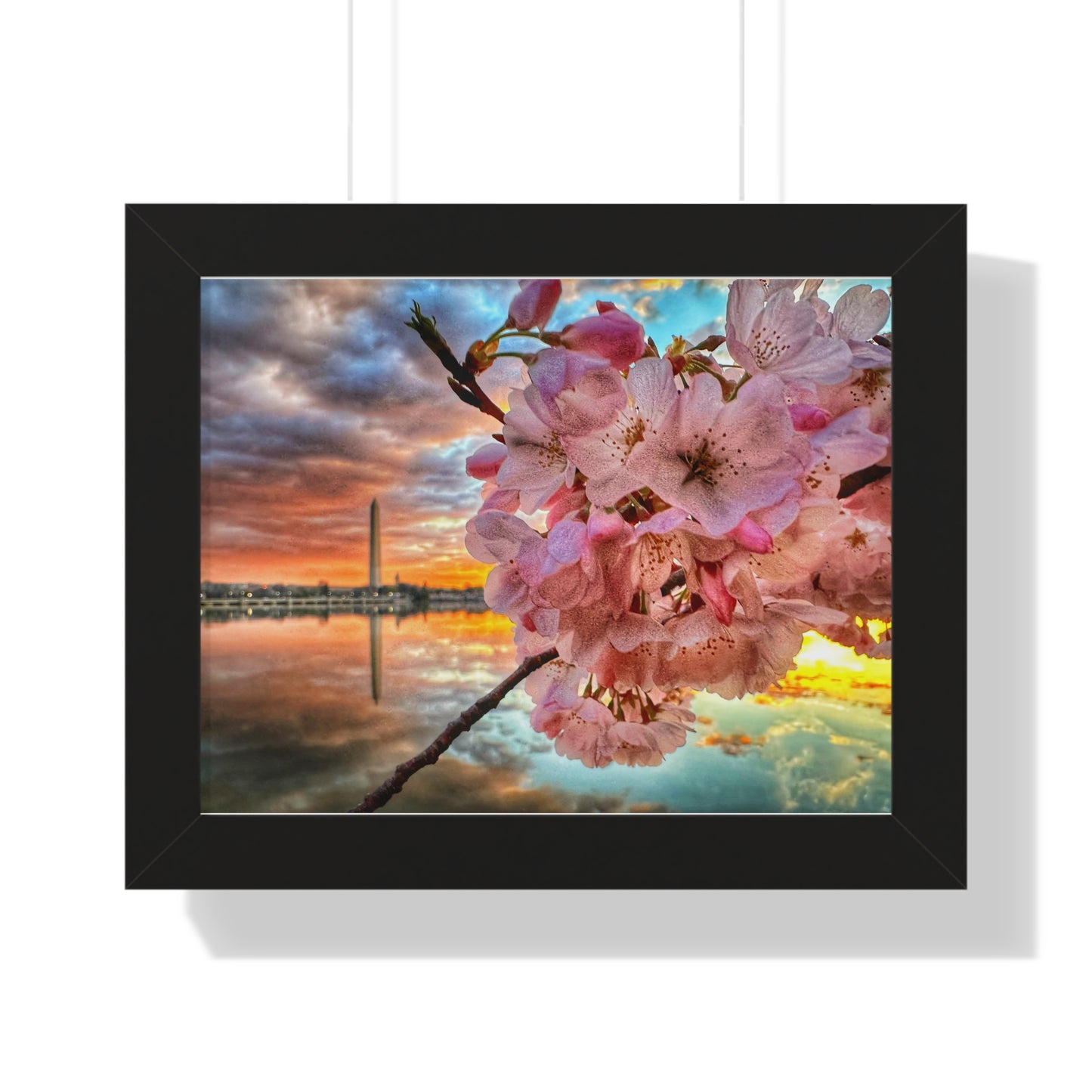 Cherry Blossom 2024 Framed Horizontal Poster